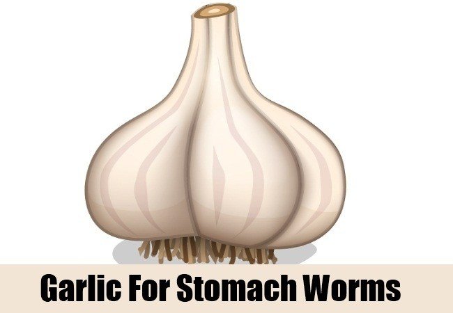 लहसून से करें बच्चे के पेट के कीड़ों (Stomach Worms)